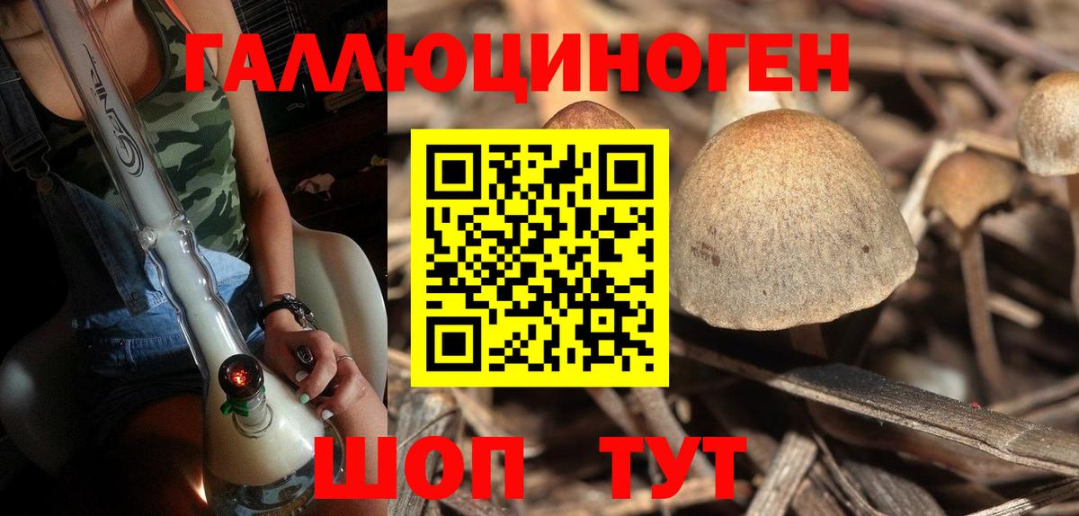 Ахтубинск  магазин  наркотиков  Вход с VPN  Псилоцибиновые грибы ЛСД 